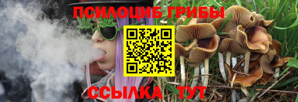 Псилоцибиновые грибы ЛСД  Вход с VPN  Вольск 